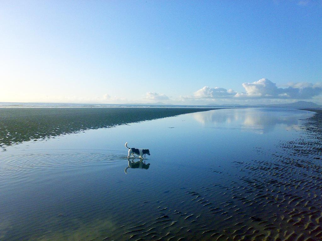 Llwyndu Farmhouse Hotel Barmouth Kamer foto